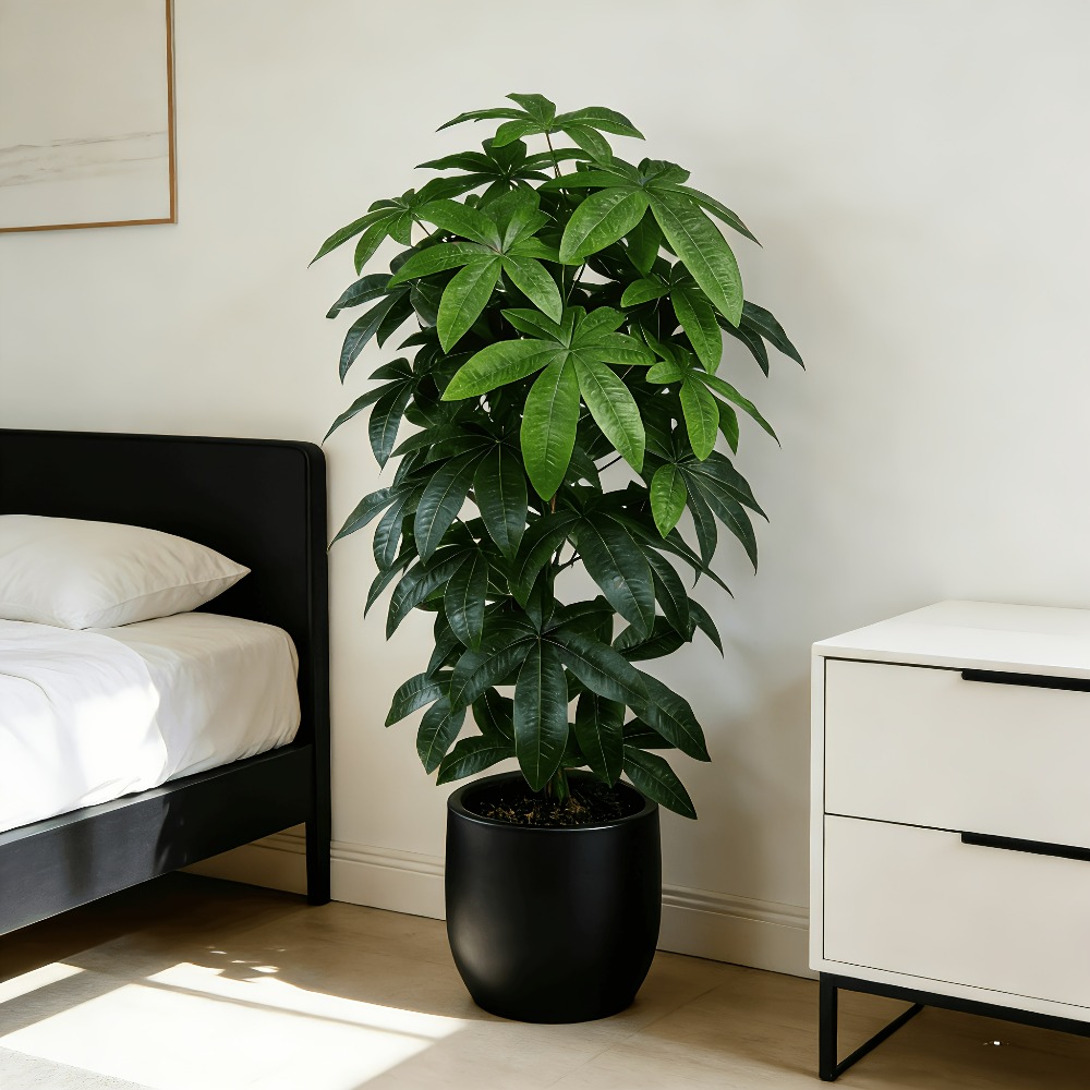 Ficus Lyrata Tree - Sztuczna drzewka szczęścia Pachira Aquatica z