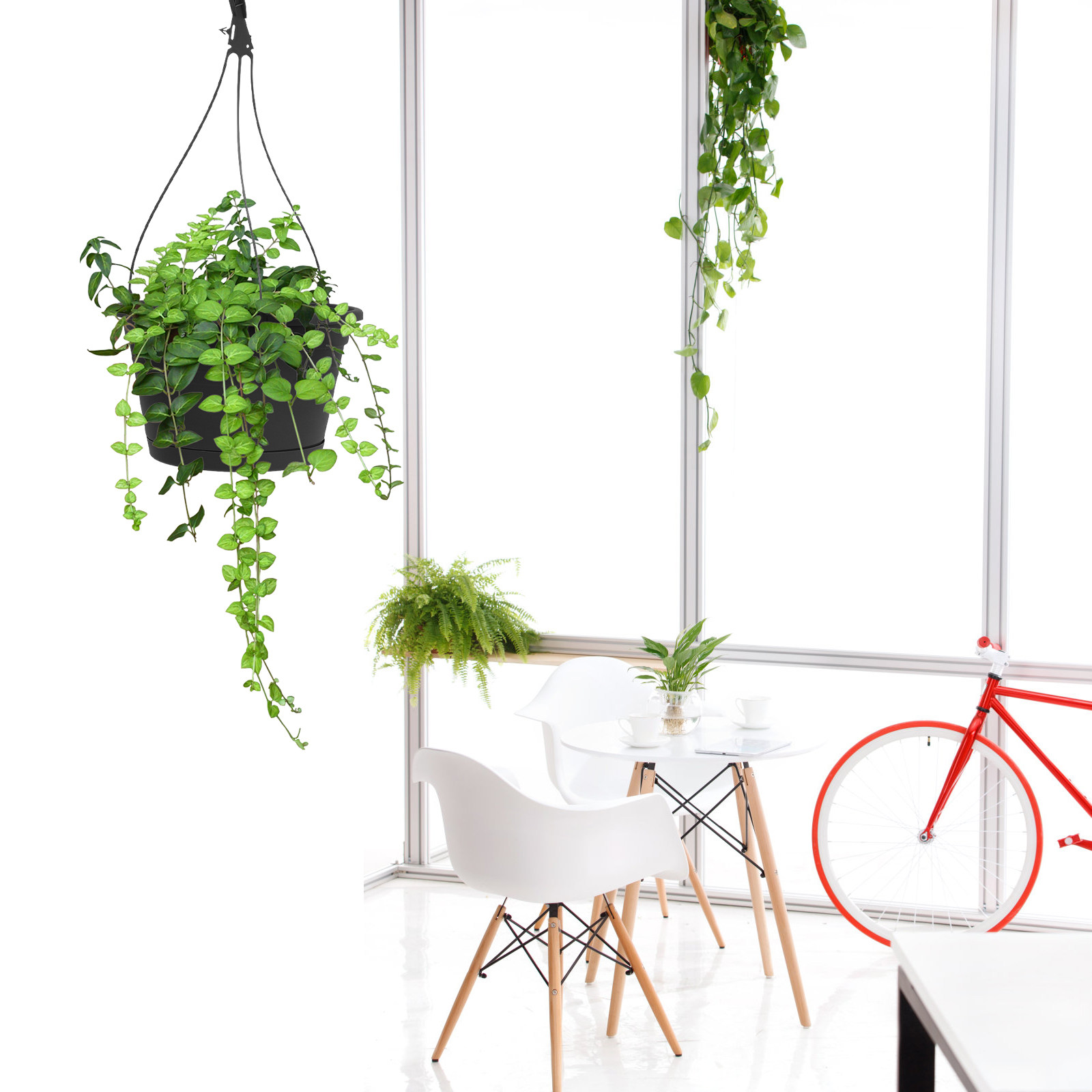 1 szt. Wiszący doniczka na roś – Spider Plant Hanging recenzja i cena