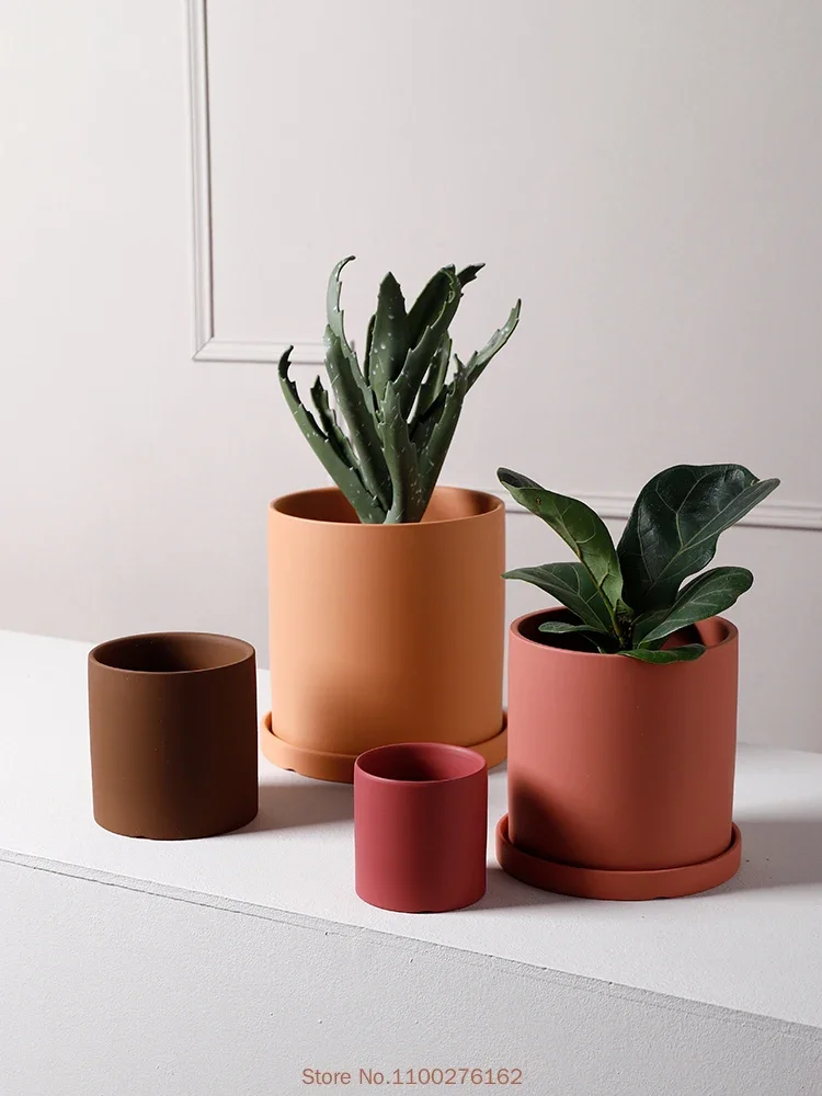 1 szt. Nowy, jednolity kolor,  – Echeveria Succulent recenzja i cena